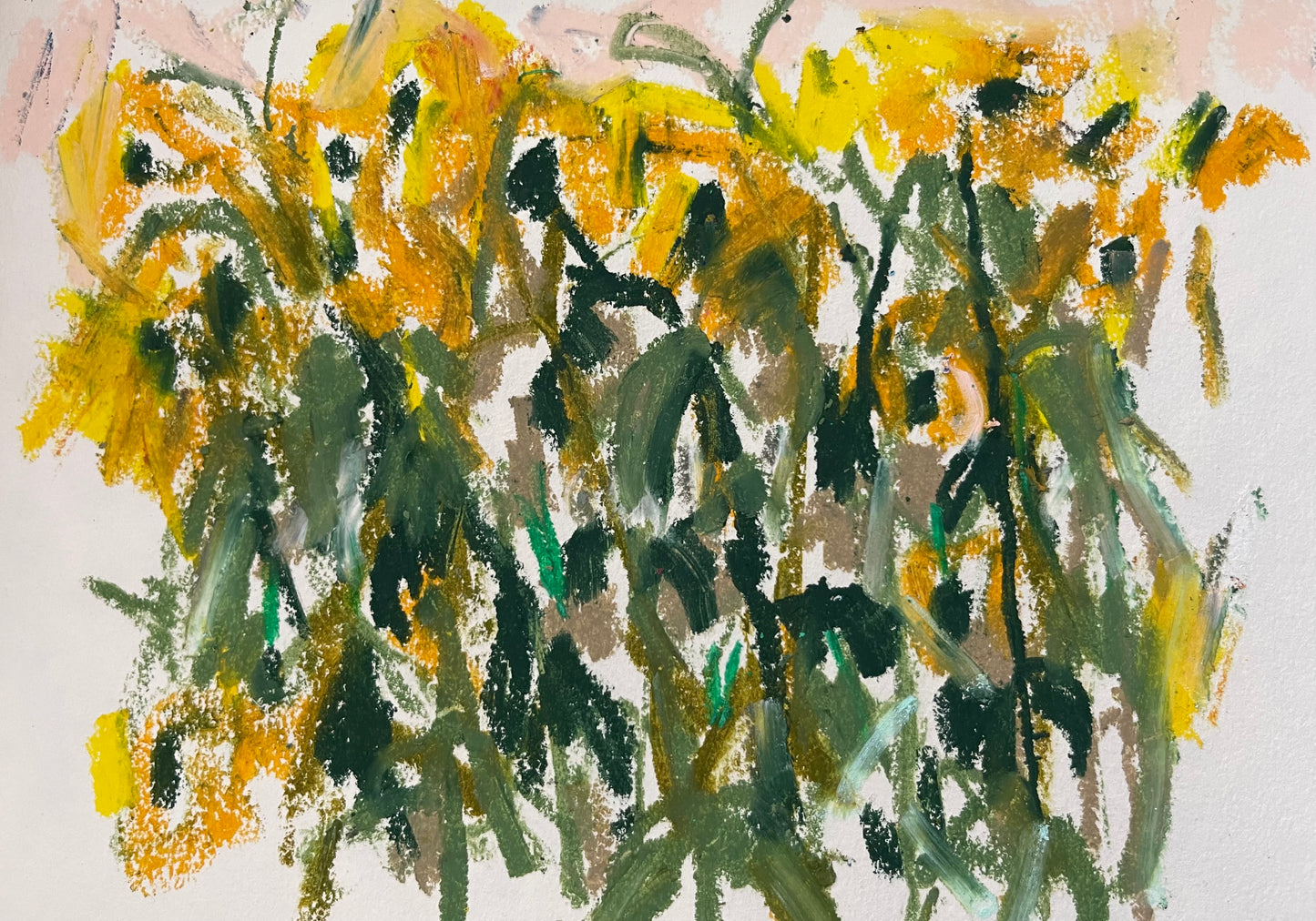 Mini Sunflowers