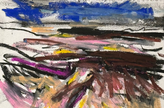 Along the coast