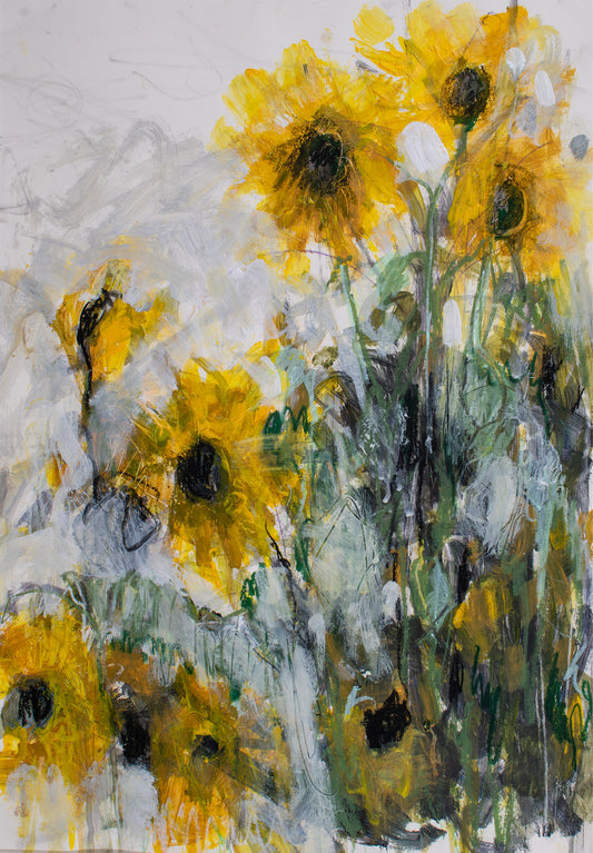 Sunflowers In Ojai II, California