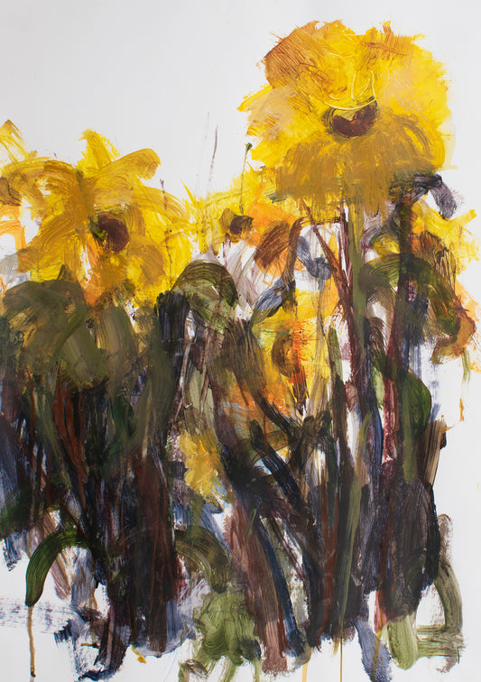 Sunflowers In Ojai I