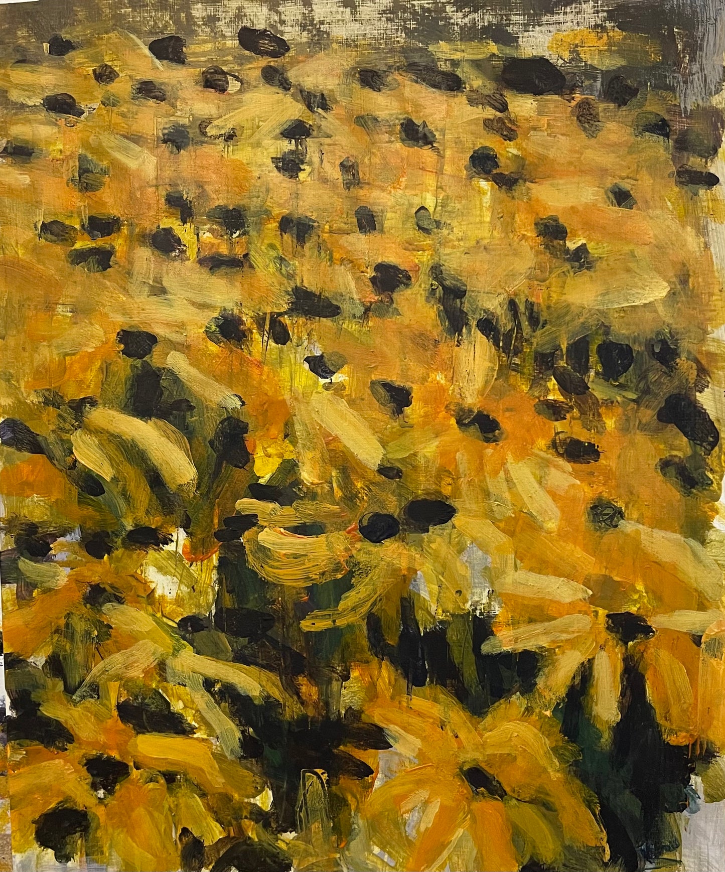 Black eyed susans