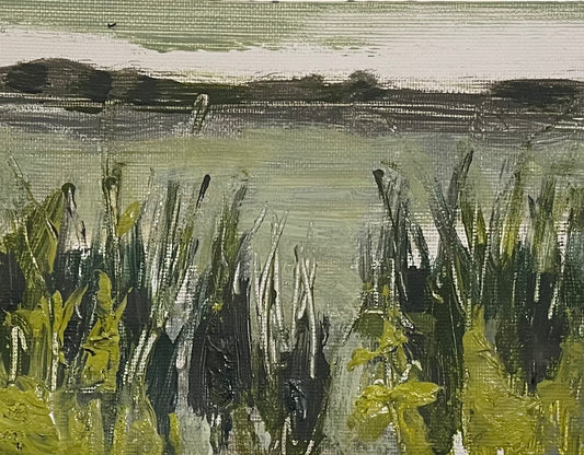 Lake walks