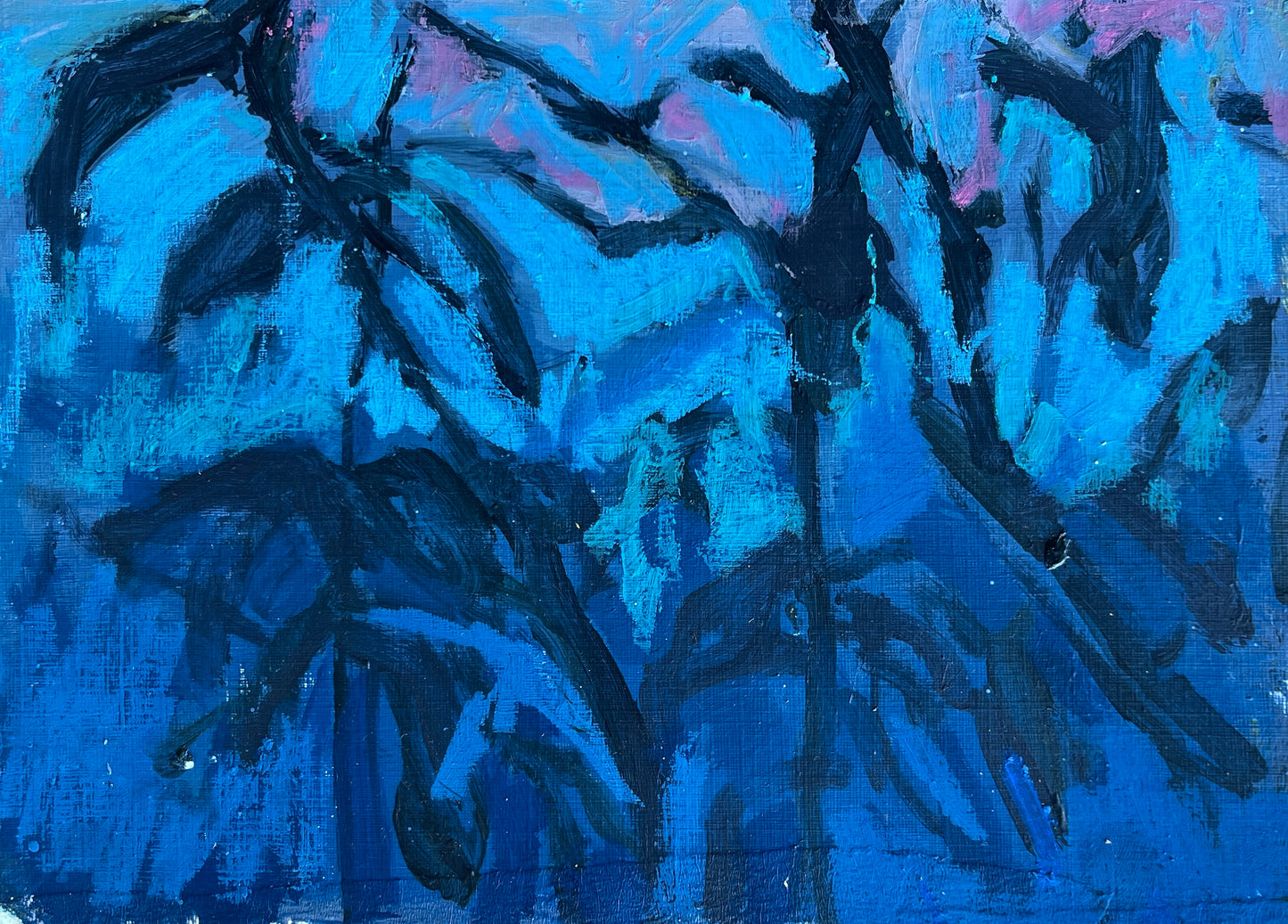 Summer night